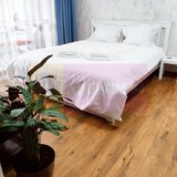 Studio de vanzare in Sinaia, investitie in turism